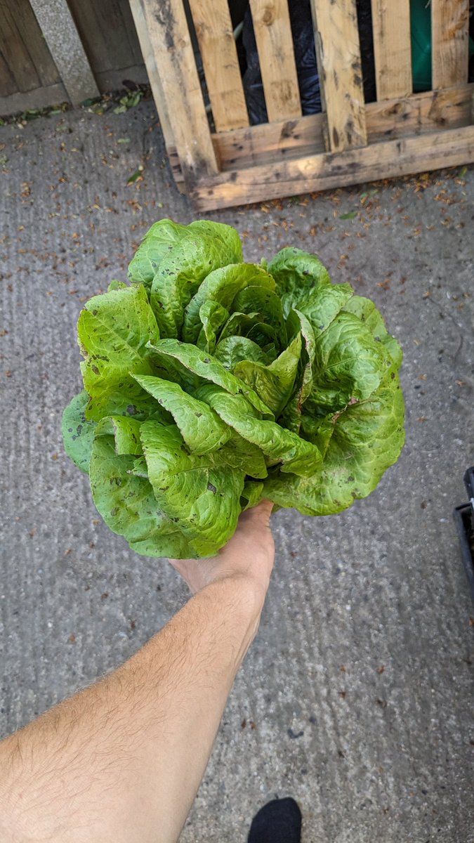 Jack Scott tweet media