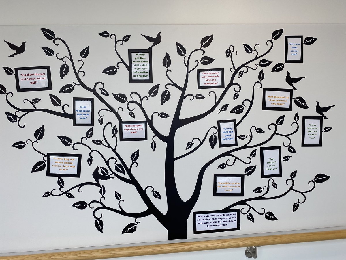 Bernie Nolan (@berniemalone18) on Twitter photo See some comments from our latest patient satisfaction & experience survey in Ambulatory Gynaecology Unit Nenagh Hospital displayed on our Satisfaction Tree. <a href="/UzmaMahmood17/">Uzma Mahmood</a> <a href="/ryan_cathrina/">Cathrina Ryan</a> <a href="/ULHospitals/">Follow @HSEMidWest</a> <a href="/norahkny/">NorahKy</a> <a href="/Naro_Imcha/">Naro Imcha</a> <a href="/hammersleyorla/">Orla Hammersley</a> <a href="/Noreen_Spillane/">Noreen Spillane</a> <a href="/hseie/">Declan Mc Namara</a> See some comments from our latest patient satisfaction & experience survey in Ambulatory Gynaecology Unit Nenagh Hospital displayed on our Satisfaction Tree. <a href="/UzmaMahmood17/">Uzma Mahmood</a> <a href="/ryan_cathrina/">Cathrina Ryan</a> <a href="/ULHospitals/">Follow @HSEMidWest</a> <a href="/norahkny/">NorahKy</a> <a href="/Naro_Imcha/">Naro Imcha</a> <a href="/hammersleyorla/">Orla Hammersley</a> <a href="/Noreen_Spillane/">Noreen Spillane</a> <a href="/hseie/">Declan Mc Namara</a>