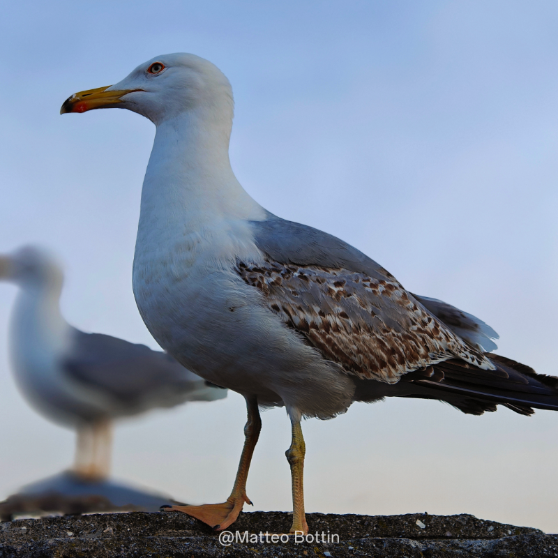 oppo's tweet photo. 🎁 Win fabulous prizes
📸 Learn tips and tricks
🗺️ Explore the world through a camera lens

Join the #OPPOCommunity