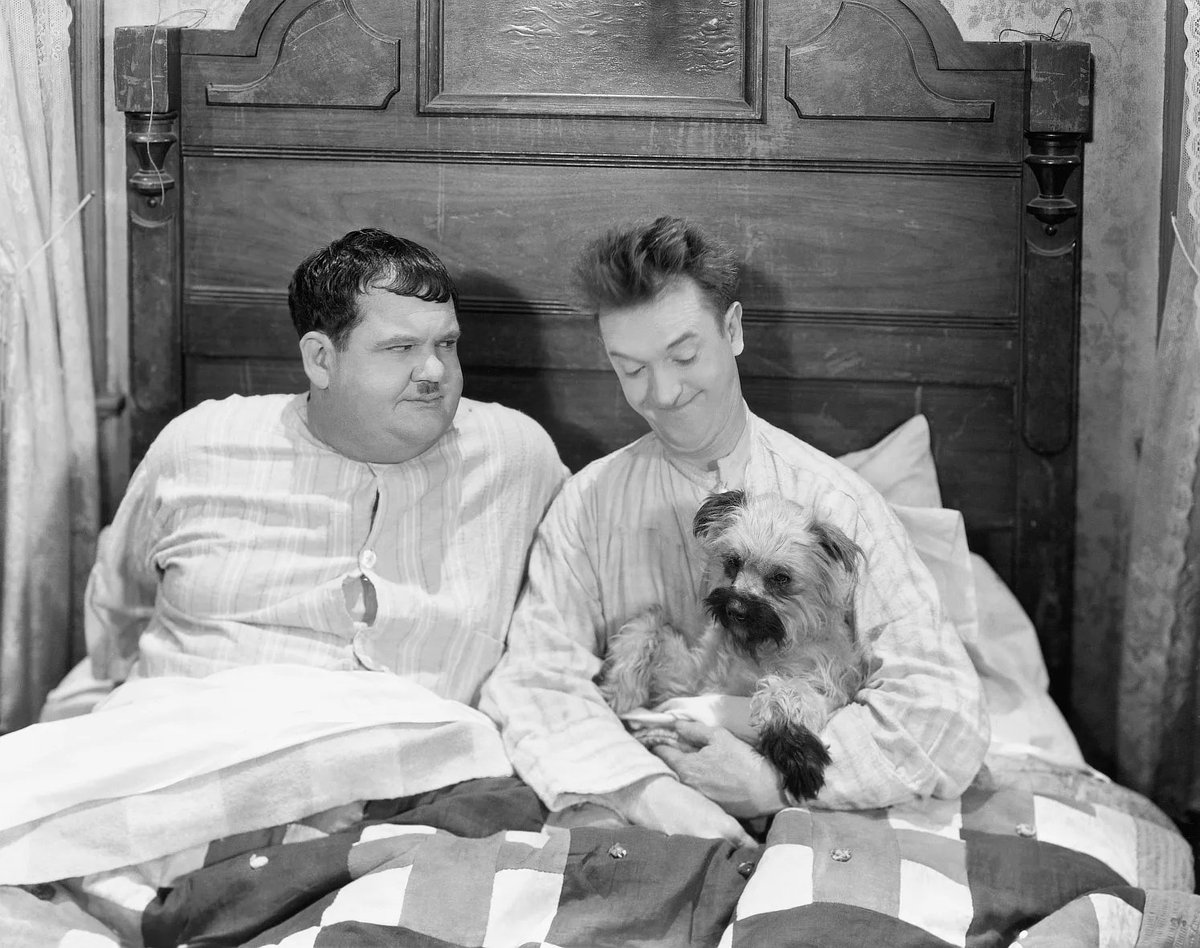Can the boys keep their dog hidden from their landlord? #LaurelAndHardy in LAUGHING GRAVY (1930) 9:20am classic comedy #TPTVsubtitles