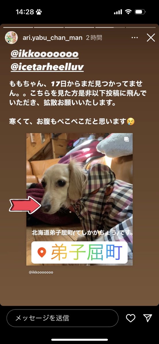 Doremi0704's tweet photo. 格差希望❗️迷子犬　
6月17日土曜日午前11時頃、
北海道弟子屈町屈斜路自宅@ikkoooooooから行方不明
カニヘンダックス、クリーム色
女の子ももちゃん3歳、首輪、ハーネス無し。警察、保健所には連絡済み。
付近にはあまり家もなく、目印もない。早く見つけてあげたい！ https://t.co/3JiWEKGATW