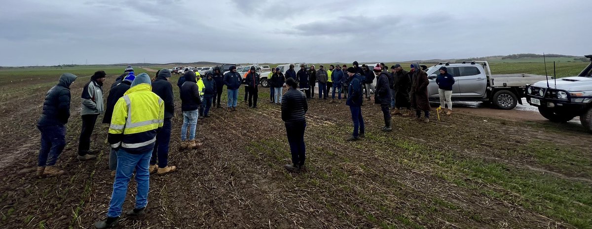 Cleve Rural Pre-Em herbicide walk. A great crew braving the freezing wintery weather 🤘🏽🤘🏽