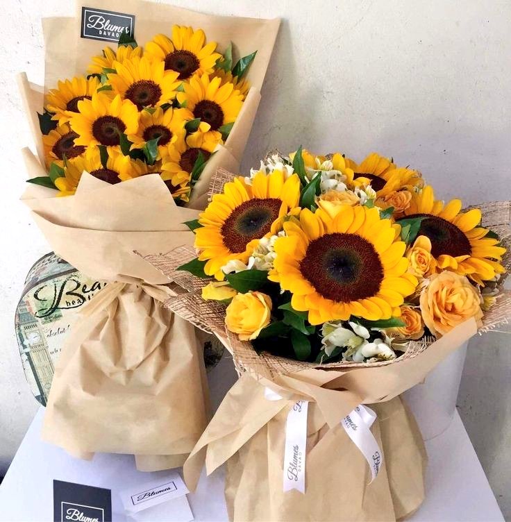 sunflowerchives's tweet photo. golden yellow🌻 https://t.co/8A8bF0U073