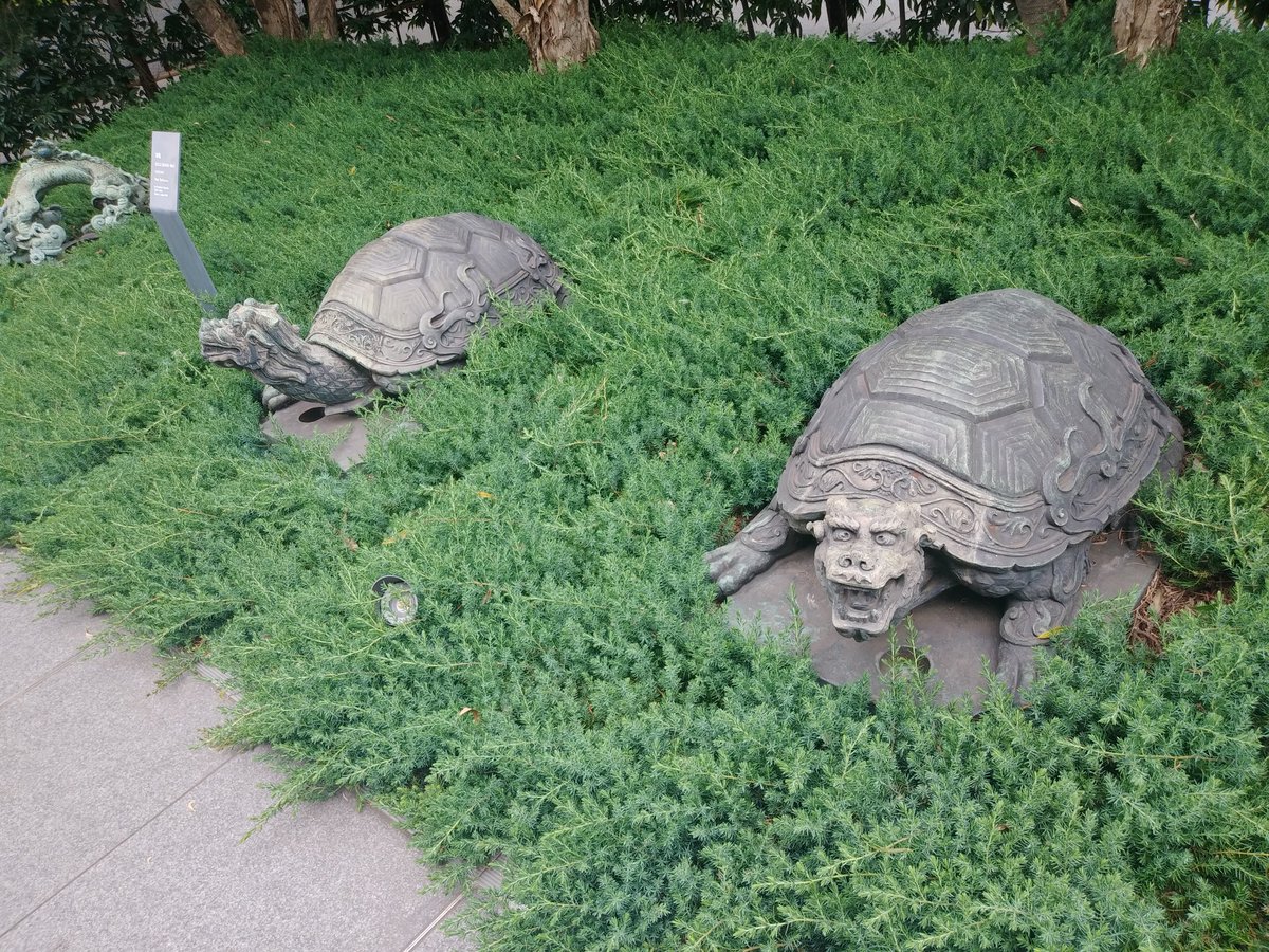 亀🐢 https://t.co/3NTSzeaz1b