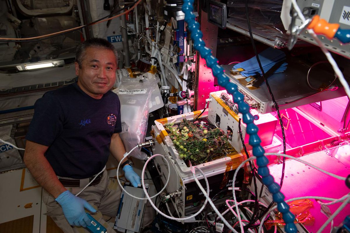 KyushuUniv_EN's tweet photo. Special announcement!
At this year's "Why should you care about Space," we will be playing a video message for participants from #KyushuU Alumnus and JAXA astronaut @JAXA_en Dr Koichi Wakata @Astro_Wakata!

Register here↓
https://t.co/1LGwBtAf0v https://t.co/wtTHdly827