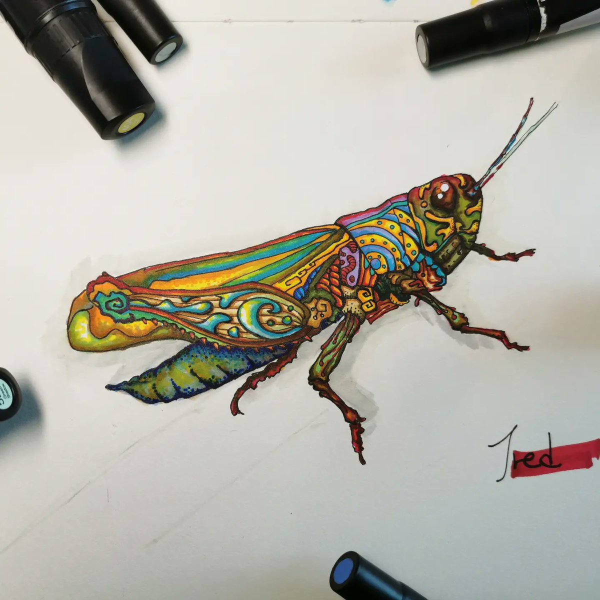 Jred_Artist's tweet photo. I will start sharing my drawings in social🌐🎨

Title: Cyberhopper
Media: Ink &amp; marker

#art #cyberart #drawing https://t.co/m8D9KCXikD