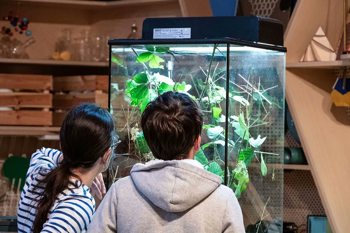 🔍 Focus sur notre offre jeunes #enfants
✨#LesÉtincellesduPalais✨ proposent une offre d'exposés accessible à partir de 6 ans ; principalement en #Biologie (#fourmis, #insectes...) #Chimie (réactions en tout genre) et #Géosciences (#Dinosaures).

ℹ️ + 💳 >billetterie.palais-decouverte.fr