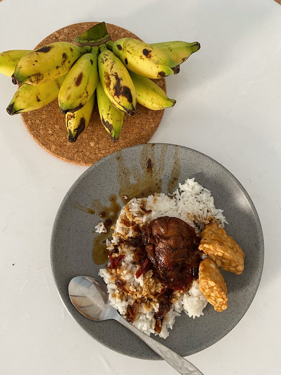 xoxogurl tweet media