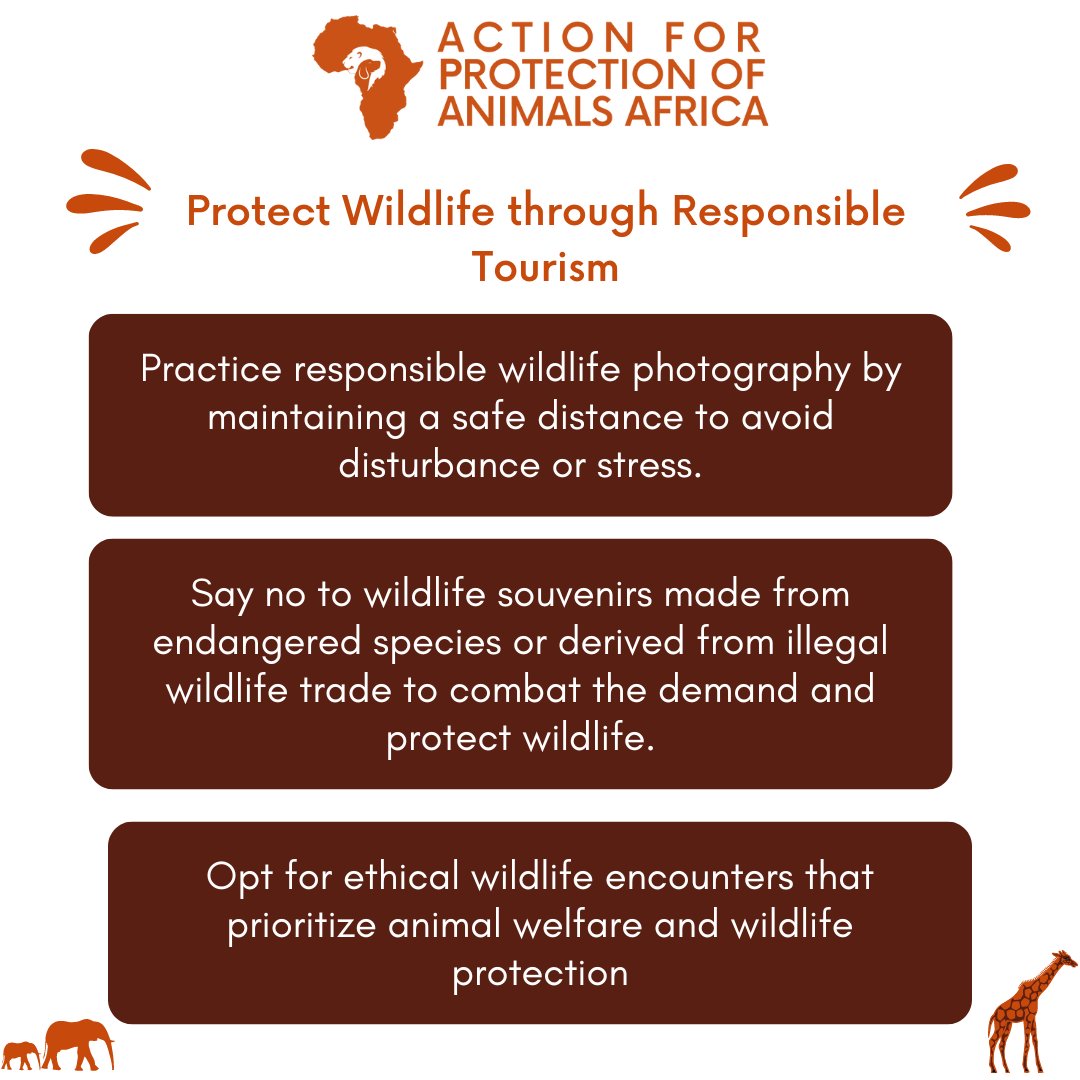 Protect wildlife through responsible tourism!

Engaging in sustainable tourism is crucial for protecting our planet's wildlife. 

Here are some essential tips to help you make a positive impact 👇

Together, we can make a difference!

#WildlifeProtection #SustainableTourism