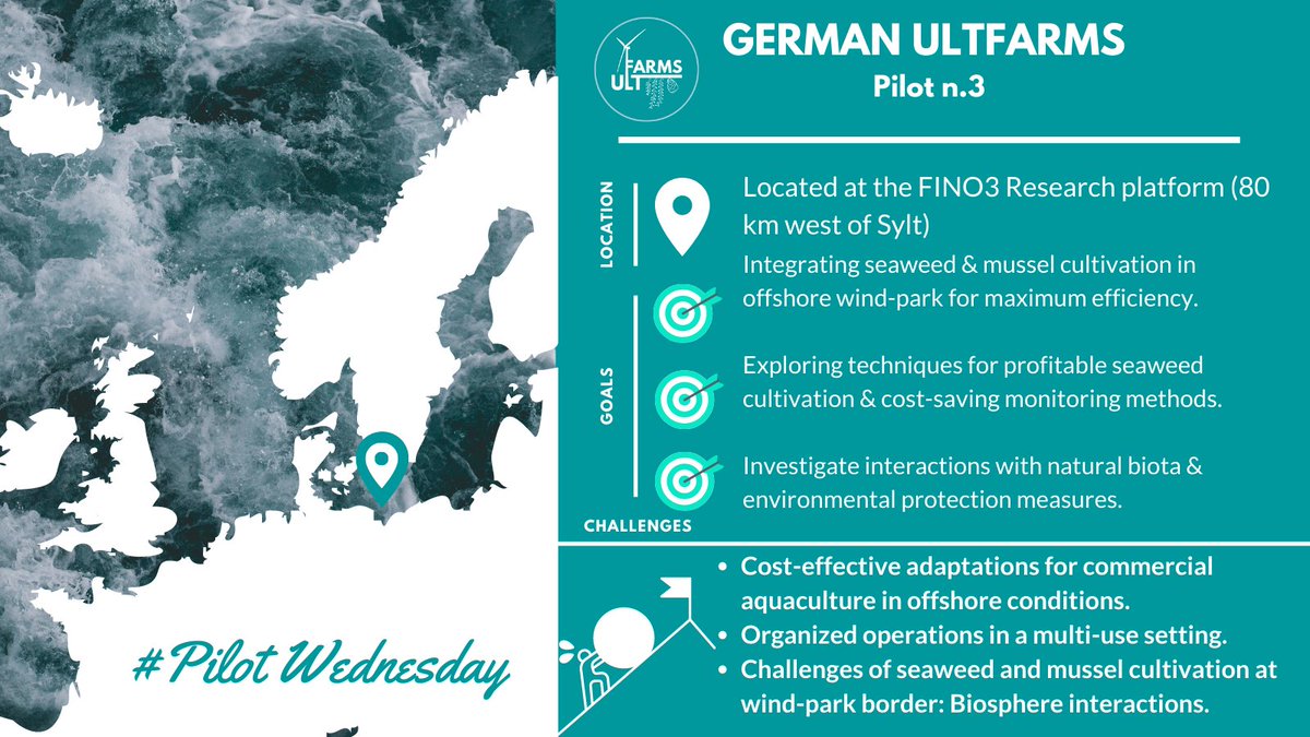 🗞 #PilotWednesday

📍 #FINO3platform (80 km west of #Sylt -Germany)

🌊 #ULTFARMS Pilot 3 integrates seaweed & mussel cultivation in #offshorewindfarm, explores profitable techniques, and investigates interactions with natural biota.

👉🏻Moreℹ️: ultfarms.eu