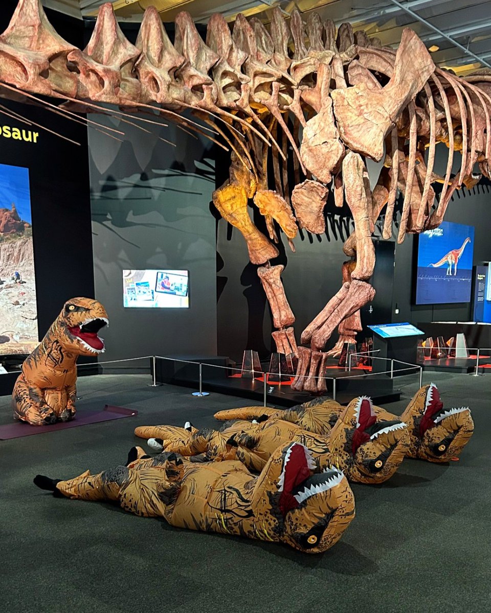 qldmuseum's tweet photo. The dinos were up early this morning to get their practice in for #InternationalYogaDay. 🧘🦖
Even fossils need to work on their wellbeing - and like us, they love savasana. Schedule in some 'me time' with a visit to Dinosaurs of Patagonia. 🎟️ https://t.co/0gIuHJgcnu #PatagoniaQM https://t.co/Ue9Rf6f3Rw