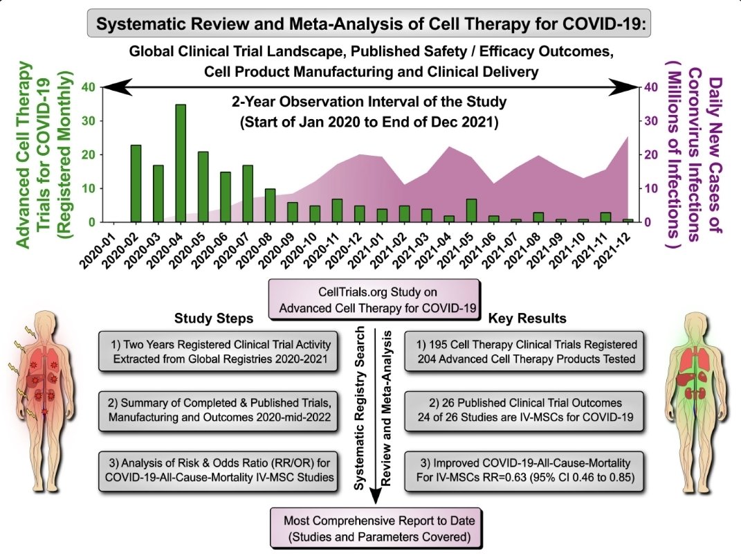 Ever wondered what happened to #celltherapies for #COVID19???
🤔🤔🤔
Check out this comprehensive study initiated by Fran & Pedro 
👏👏👏
@celltrialsdata @ISCTglobal @AgenciaFAPESP @ChariteBerlin @berlinnovation @Yale @ucl @MesenchymalCell #SARSCoV2
👇👇👇
frontiersin.org/articles/10.33…