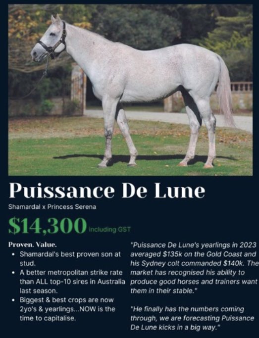 SwettenhamStud's tweet photo. #JACKOFIT 5G 🟦🟩Puissance De Lune🟩🟦 x Tsigana Begood(Tsigane) salutes in BM-70 at Mornington 1200m(Heavy10) for Kilmore Tr #CathleenWilson & Jk #BrianHiggins..@SwettenhamStud https://t.co/fN1CnKwwfh