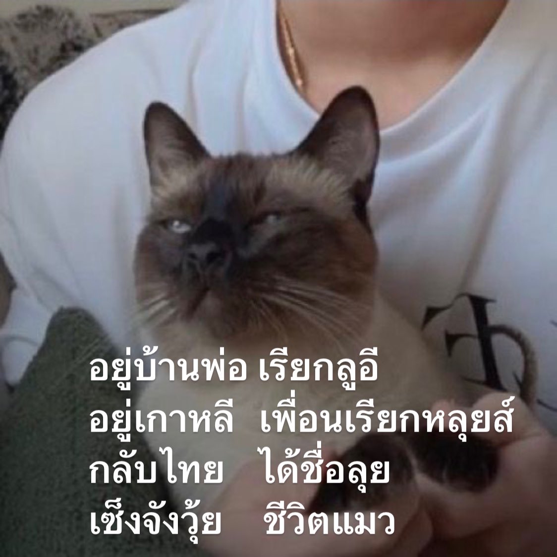 หัวข้อ "ชื่อของฉัน"
ประพันธ์โดย ลูอีหลุยส์ลุย