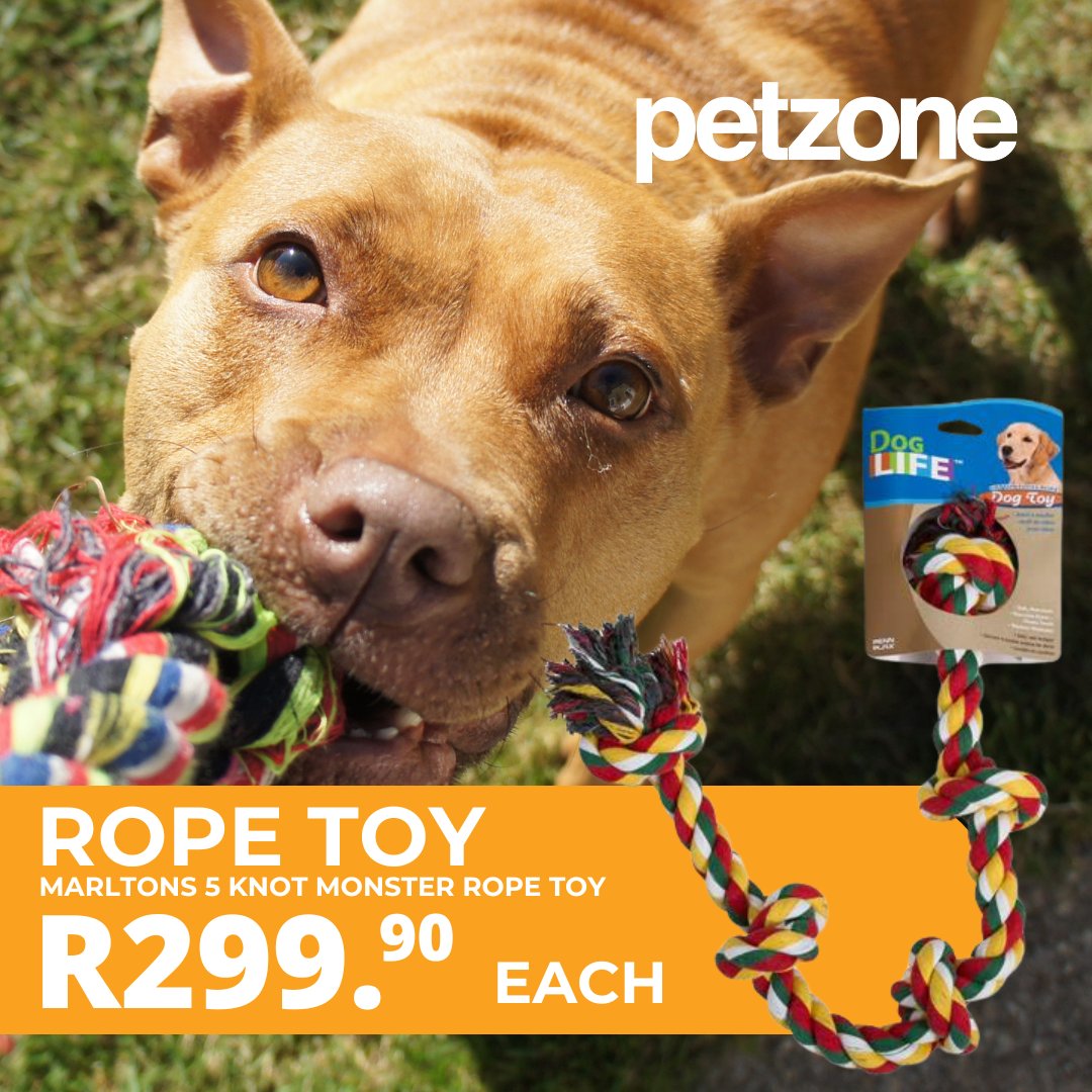 Calling all playful pups! 🐶 💚 🐾
#Marltons 5️⃣  Knot Rope Toy!

🌟 Durability: Made with high-quality materials, this rope toy is designed to withstand even the toughest chewers. It's built to last, and last, and last!

More at Petzone bit.ly/3WZZN22 #ropetoy #dogtoy