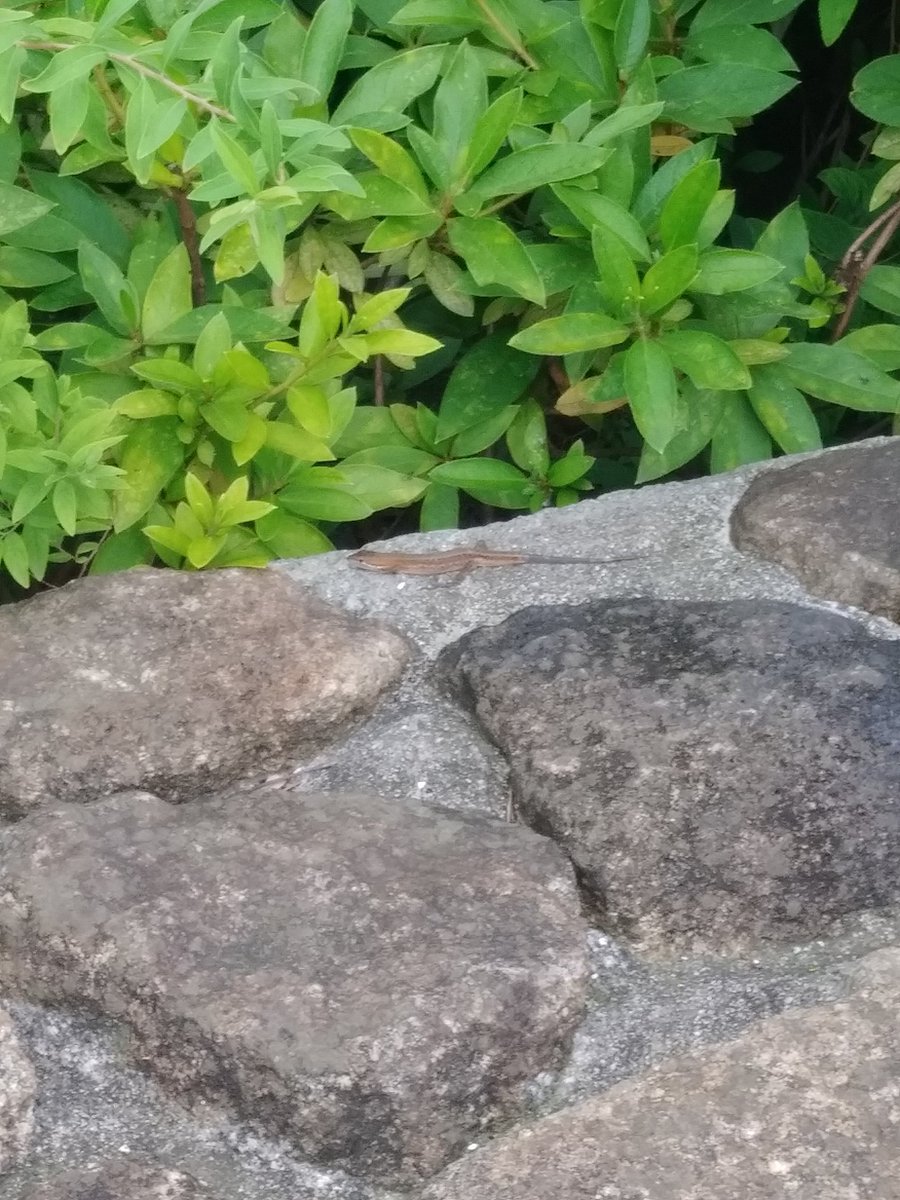 いすぎじゃね？ https://t.co/JdXTkMkV9R