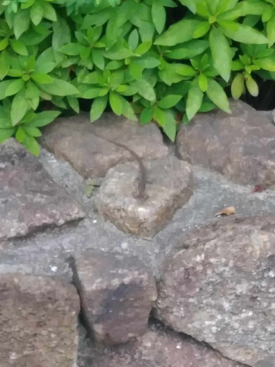 いすぎじゃね？ https://t.co/JdXTkMkV9R