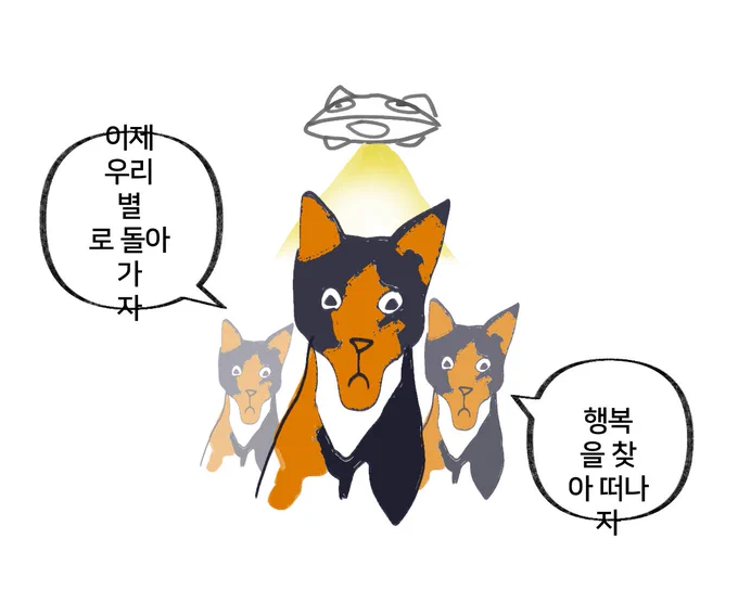 지인 고양이