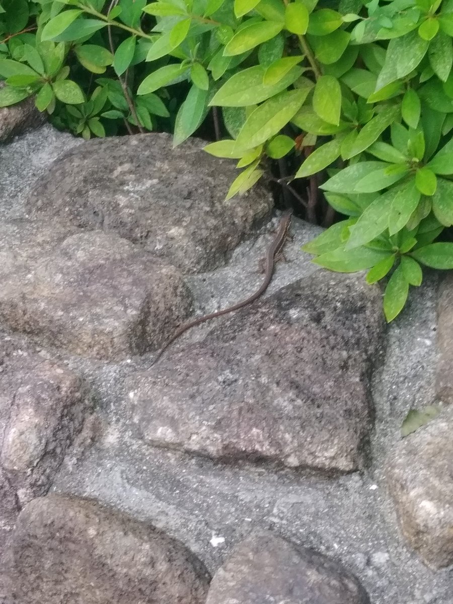 いすぎじゃね？ https://t.co/JdXTkMkV9R