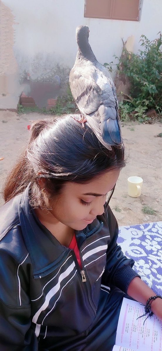 MinzNilofar's tweet photo. यदि जंगल को दिल मानें,
तो उसकी धड़कन आदिवासी हैं।
#जोहार

(सर बैठा, ये मेरा 'झुबलु' है।)🥺

@AdiwasiVoice https://t.co/FchlBLiAoz