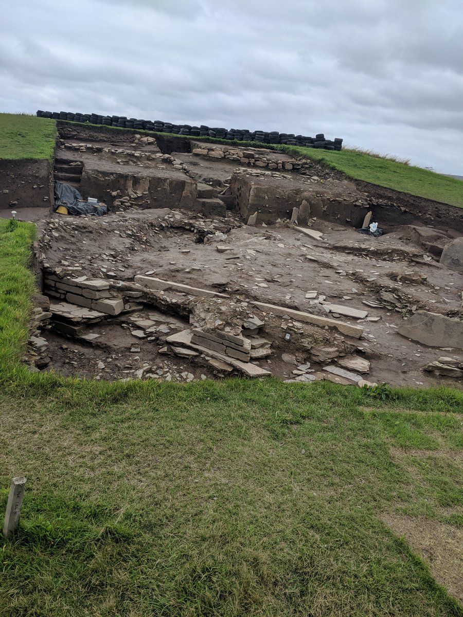 Stone Me tweet media