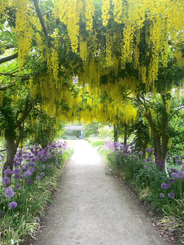 LeedsPaedDent's tweet photo. Now that the weather is better, why not take a trip up to the North York Moors to enjoy some of the floral wonders at Helmsley Walled Garden

It has all you need for a beautiful summer day out, from apple orchards to cafes, there' even a castle!  

@HelmsleyWalledG #LifeInLeeds https://t.co/uXVQLIyAlw