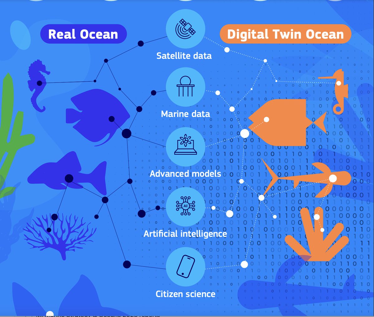 🌊 What is the Digital Twin Ocean in practice? #MissionOcean