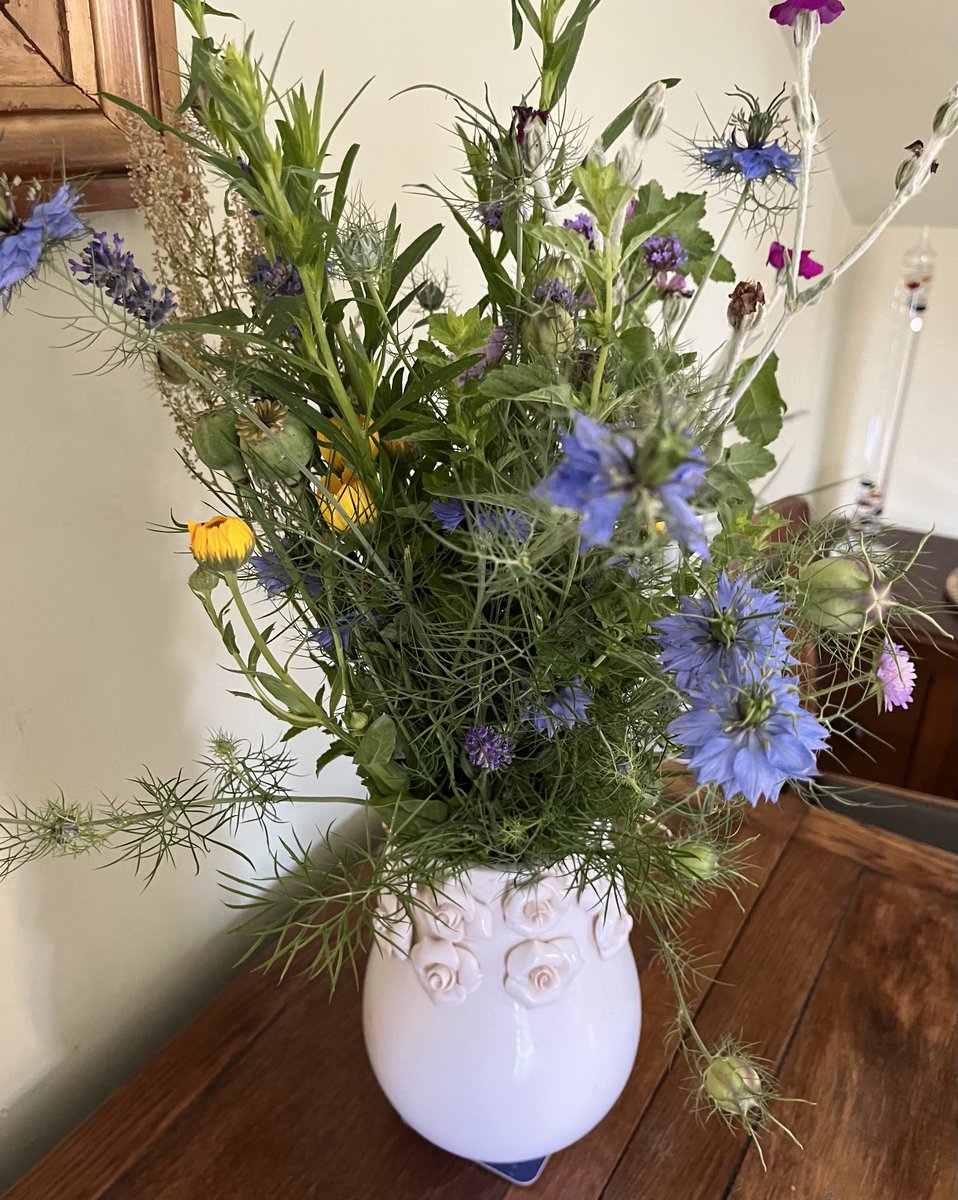 Carol Bewick tweet media