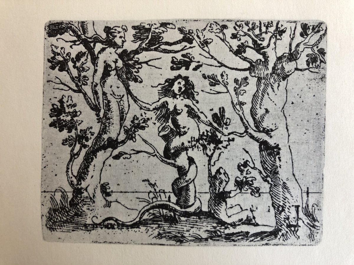 Giovanni Battista Bracelli (circa 1584- circa 1650)