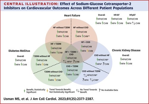 AmiBhattMD's tweet photo. Great teaching tool. Thinking about the multiple aspects of medication effects, diagrams like this is will be increasingly used as #polypills emerge as a solution for #cardiovascular #populationhealth #healthequity and #access @NealKovach @ACCinTouch @JACCJournals @FiercePharma https://t.co/4DuushJB24