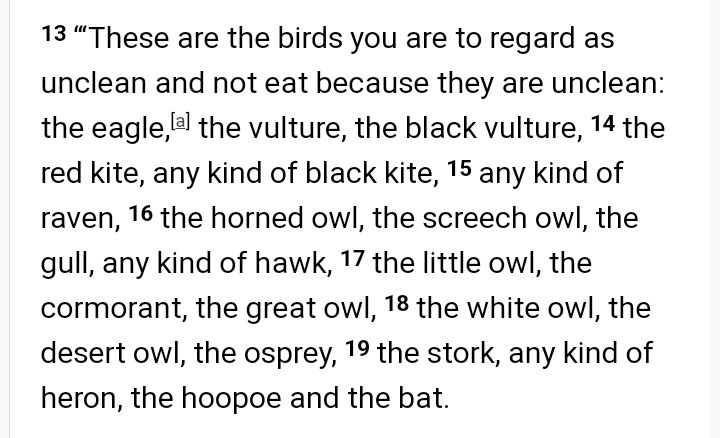 Sir_Q_Root's tweet photo. @LakeCountry @DvdButler @DPembic @wendelltalks @YouTube So:

Nursery school level of taxonomy to suggest bats are in the same category as birds because they fly. 

Factually wrong when it catagorically states crewing cud. 

Want to say anything about talking snakes? https://t.co/QzJ6Qa61sY