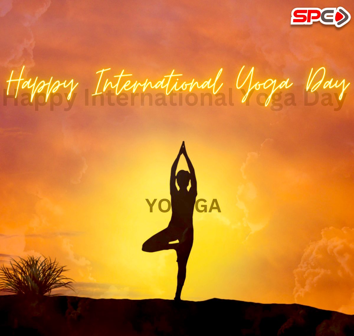 #internationalyogaday #stayfitstayhealthy