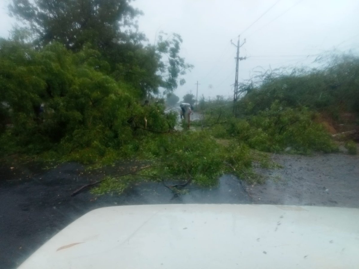 #CycloneBiparjoy

During Biperjoy cyclone, the work of removing the bushes on the road and the work of transporting people to a safe place.

Salute to all those who took the risk and helped the trapped.

One of Contributor:-

Vaghela Bhaveshbhai

Driver of Nagar Palika, Wankaner