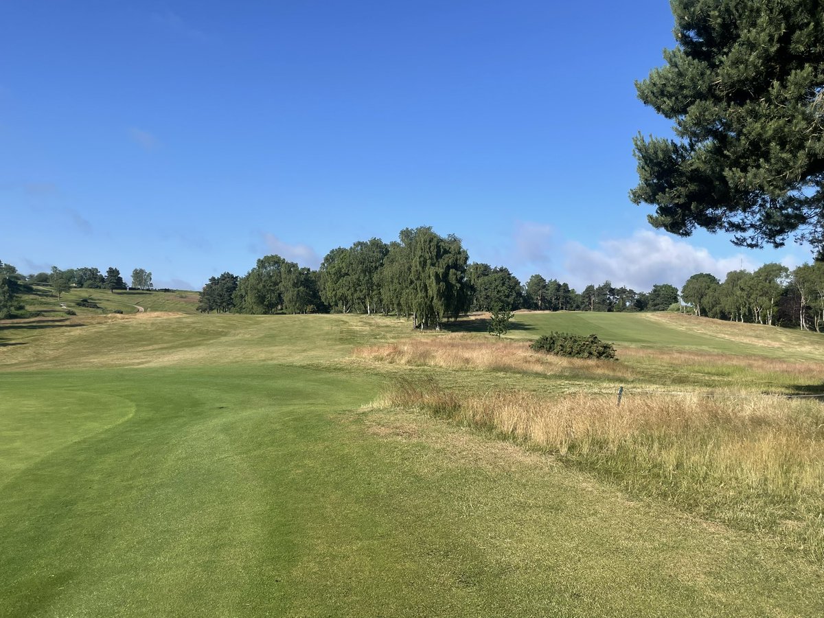 Despite recent rain it hasn't effected fairway surfaces in health. Last year fairway irrigation was installed on the 12th fairway @CoxmoorGC, 1mm of irrigation nightly is proving very effective but still keeping the look of a heathland @HunterGolf_UK @MarkGanning @wezhenshaw85