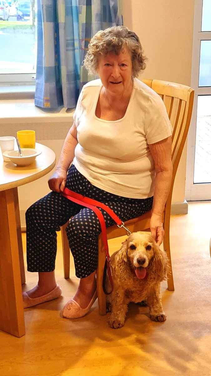 huwrob62's tweet photo. @TommyTommytee18 @CariadPet #pettherapy #dogsofinstagram #therapydog #therapydogsofinstagram  #animalassistedtherapy #therapyspaniel #roanspaniel #wellbeing #cariadpettherapy #memories https://t.co/wSN28KoAe6