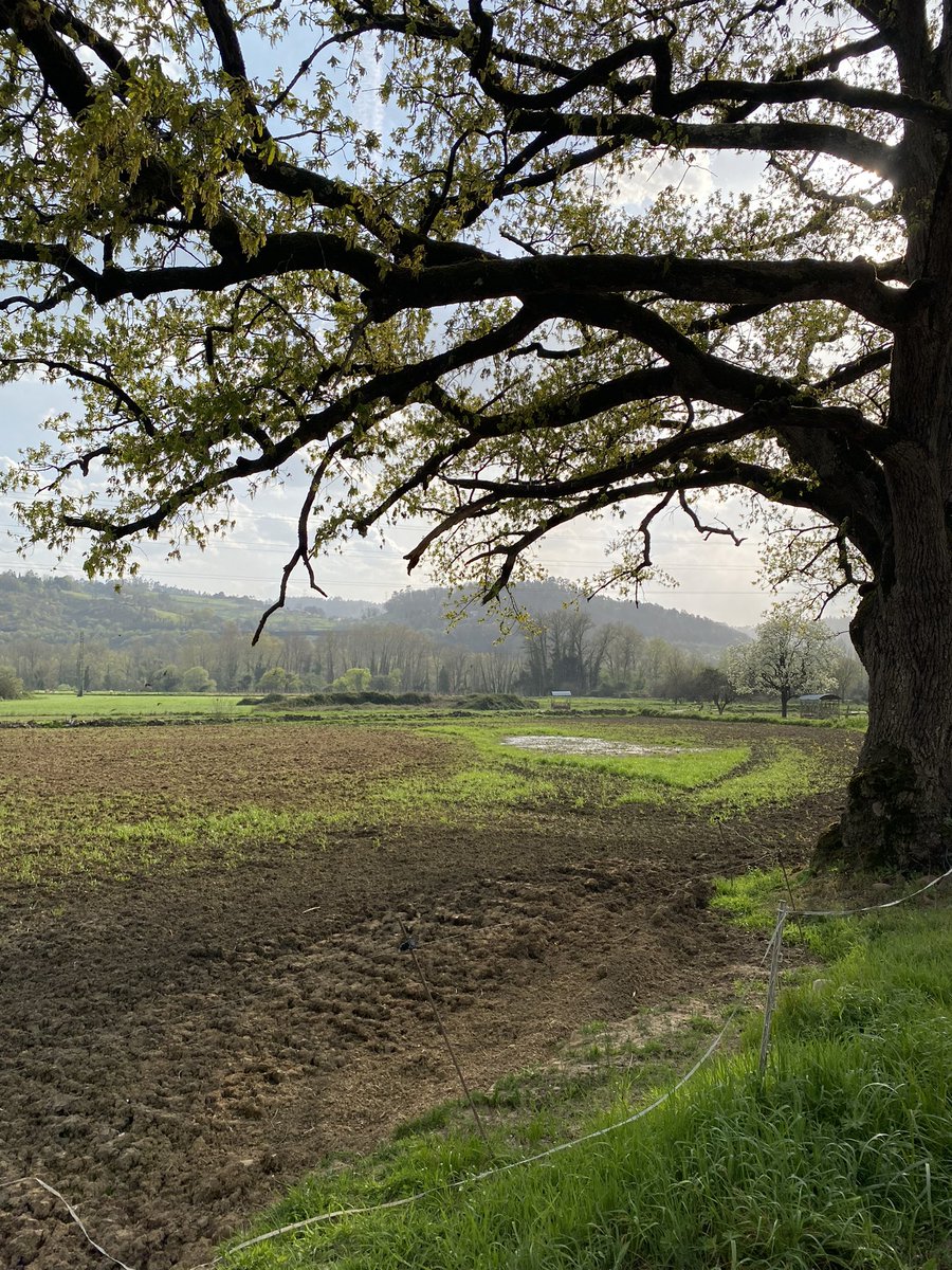 V těchto dnech čelíme mediálním útokům, dezinformacím ve spojitosti s nerůstem a osvětovou činností <a href="/TadeasZdarsky/">Tadeas Zdarsky 🐌</a>. Děkujeme jedincům i celému klimatickému hnutí za podporu. Zůstáváme NaZemi.