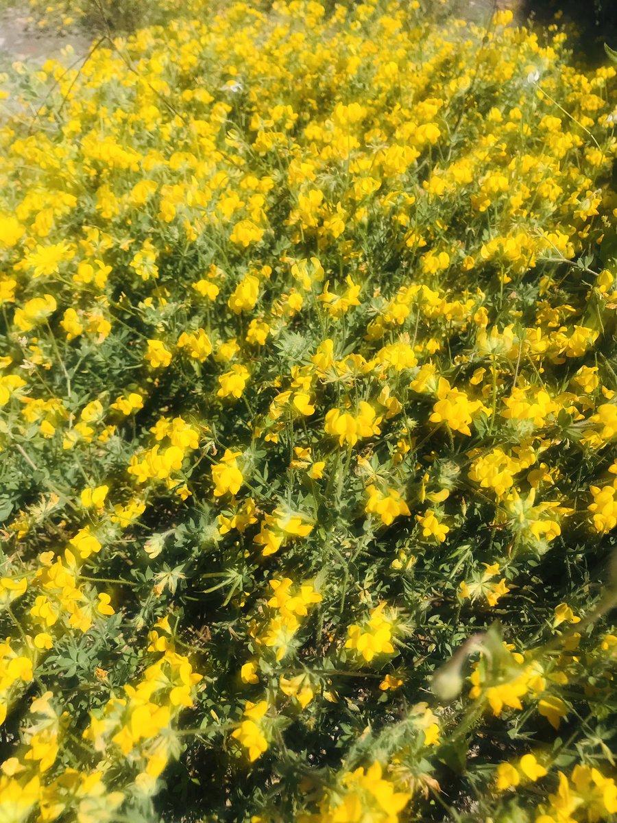 Günaydın dostlar
Mutlu sabahlar…💛💙🌹🌹🌹☕️☕️