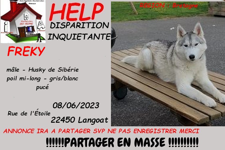 Kate23170's tweet image. merci de RT pour nous aider a retrouver FREKY disparu a Langoat 22450 le 08/06/2023 svp . si infos : CONTACT FB : facebook.com/delphinetouarin ou MP à @Kate23170