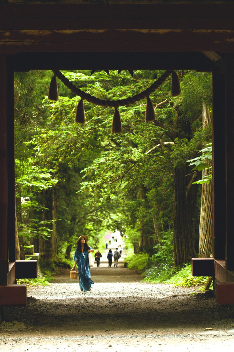 NDaisuki's tweet photo. 戸隠 ー 長野県
TOGAKUSHI - NAGANO
#Japan #JapanFirstLook #streetphotography #canonphotography https://t.co/vcikTizn4N