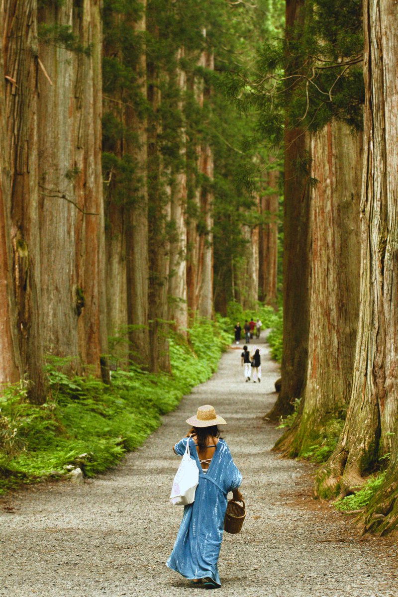 NDaisuki's tweet photo. 戸隠 ー 長野県
TOGAKUSHI - NAGANO
#Japan #JapanFirstLook #streetphotography #canonphotography https://t.co/vcikTizn4N
