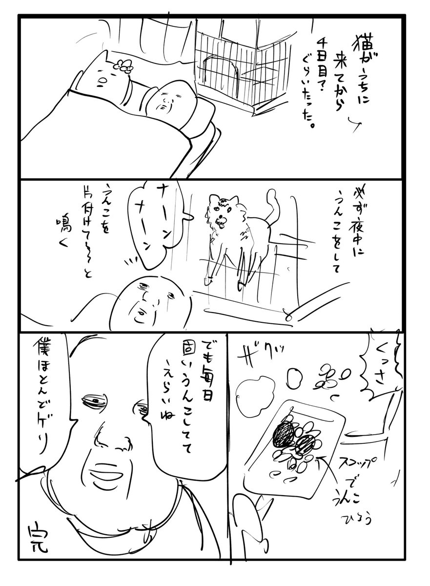 猫エッセイ漫画