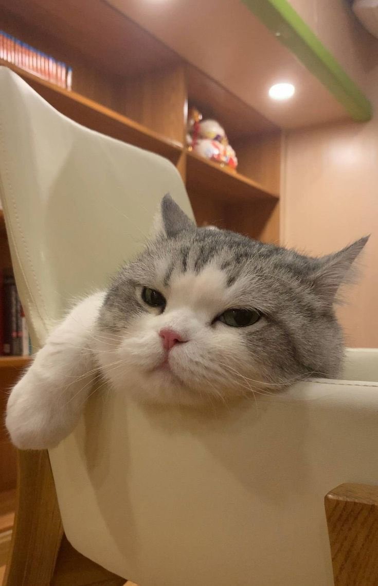 Me : when mager mood :)