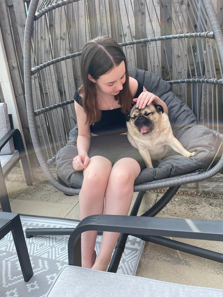 pugcalledMelvin's tweet photo. Happy 15th birthday Cooper! Hope u have a great day https://t.co/kJgKiSHm6H