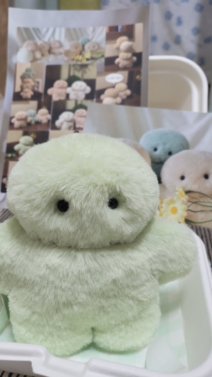 멜론거북이~(하얀 찹쌀떡 등뒤에 숨긴건 안비밀 ㅋ)
#코지데이지#찹쌀떡거북이