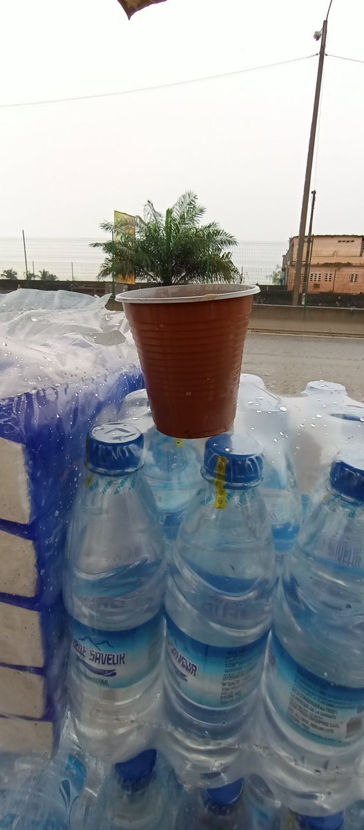 Aly-B.Ladji COULIBALY (@alyco2) on Twitter photo [ Merci à la <a href="/SODECIofficiel/">SODECI Côte d'Ivoire</a> d'avoir pensé à nous, après 4 mois de disette dans mon quartier à <a href="/Ouangolodougou/">Jonathan McHugh Shepherd</a> . Hier en dormant, j'ai entendu l'eau couler. Au nom de Dieu, je vous dis #Merci. [ Merci à la <a href="/SODECIofficiel/">SODECI Côte d'Ivoire</a> d'avoir pensé à nous, après 4 mois de disette dans mon quartier à <a href="/Ouangolodougou/">Jonathan McHugh Shepherd</a> . Hier en dormant, j'ai entendu l'eau couler. Au nom de Dieu, je vous dis #Merci.