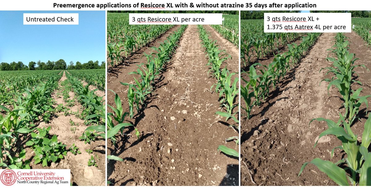 Mike Hunter tweet media