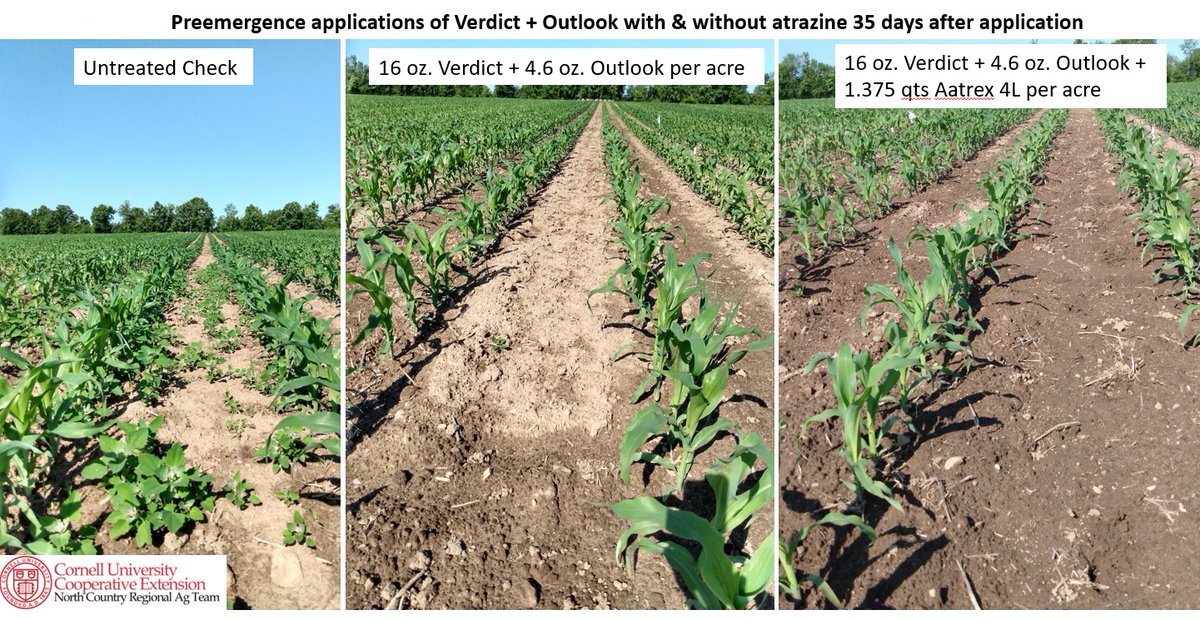 Mike Hunter tweet media