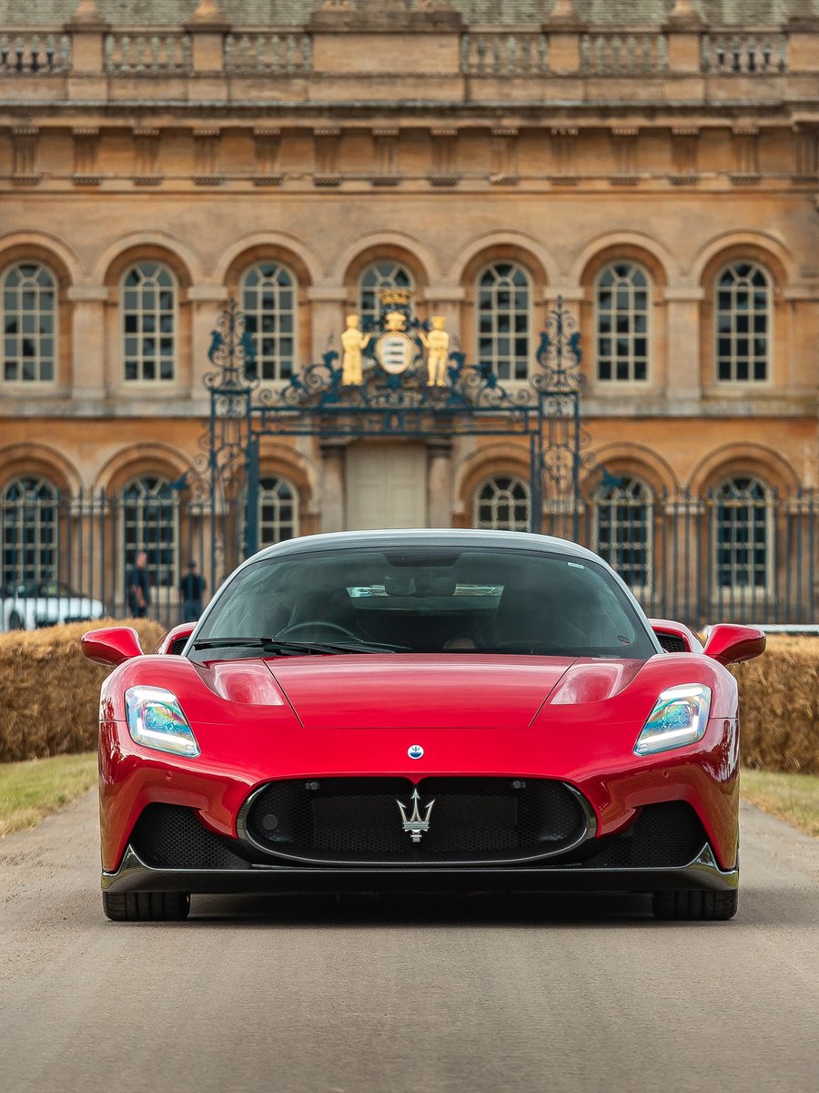 TOP555 tweet media