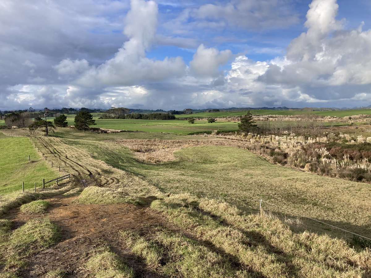 In my role, I’m privileged to be invited by #KaiparaMoana partners to see the amazing mahi by landowners, communities &amp; iwi to protect NZ’s largest harbour.  Last week, I visited the Mangakāhia river &amp; Poutu peninsula to see wetlands &amp; river restoration projects. Ka rawe!