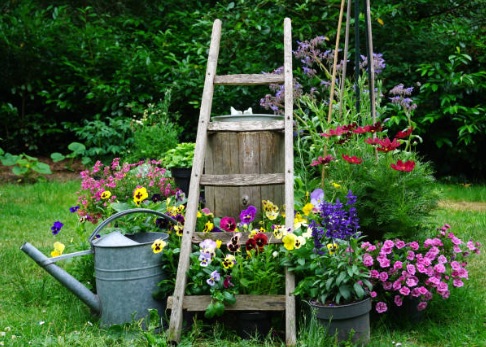 Vandaag begint de astronomische zomer. In de kassen van het Westland wordt veel perkgoed gekweekt. Heeft u de tuin al vol staan om deze zomer lekker van alle kleur te kunnen genieten?